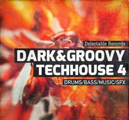 Delectable Records Dark And Groovy TechHouse 04 WAV